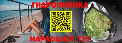шишки Балаково